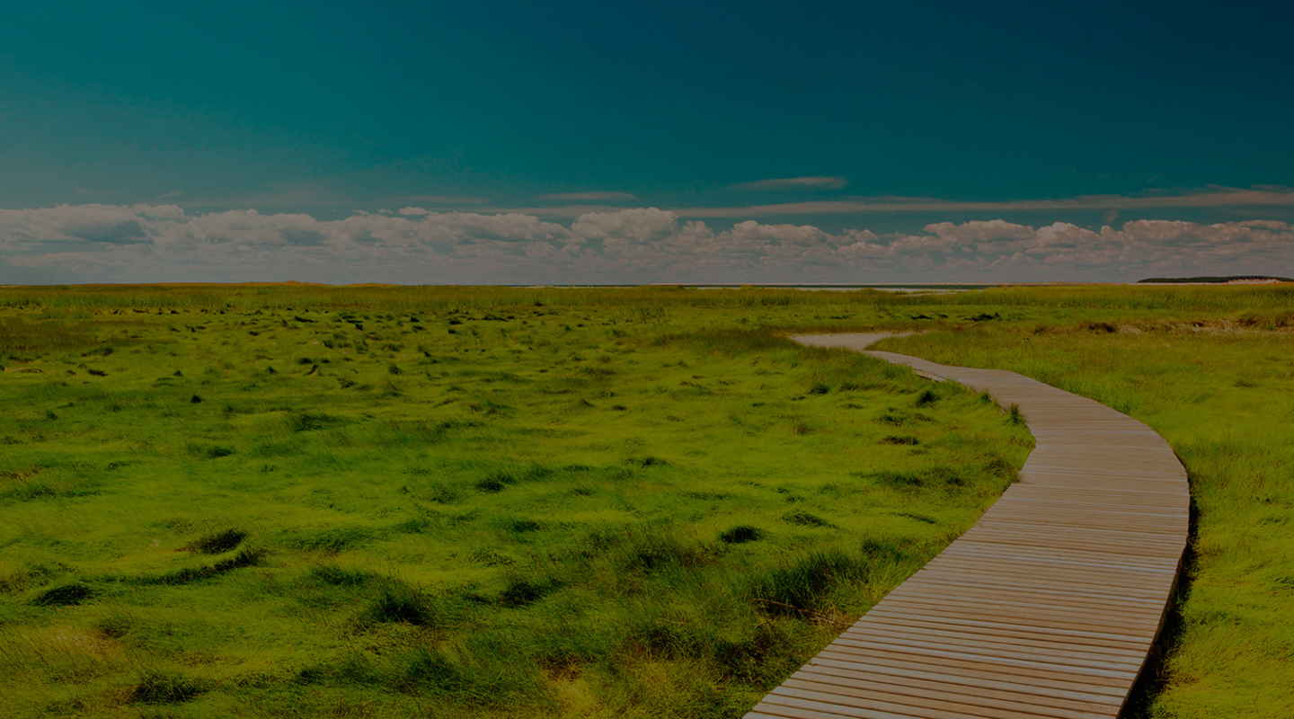 Paisaje de llanura y camino de madera